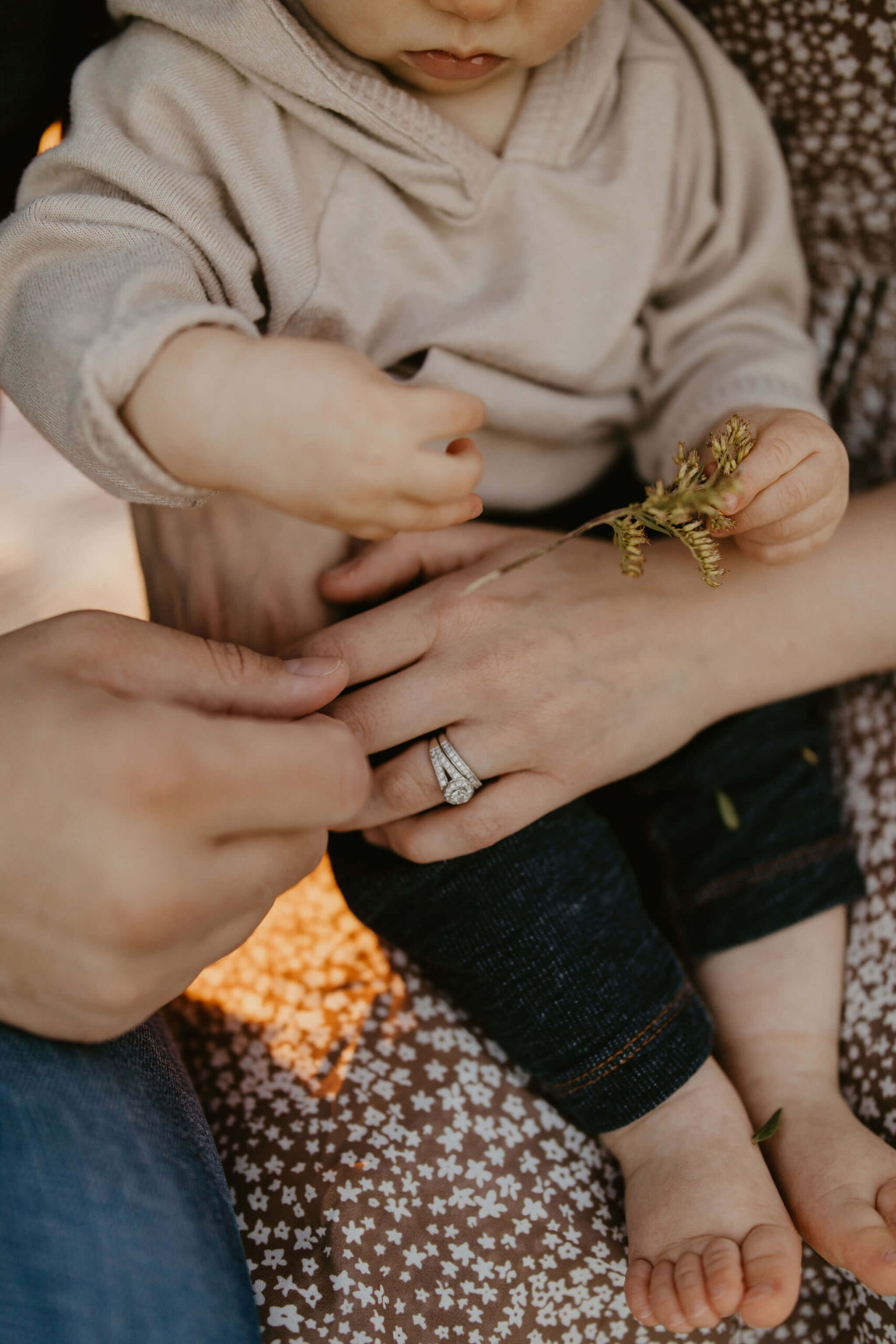 close up image of hands of father, mother, and son as the son plays with a blade of grass