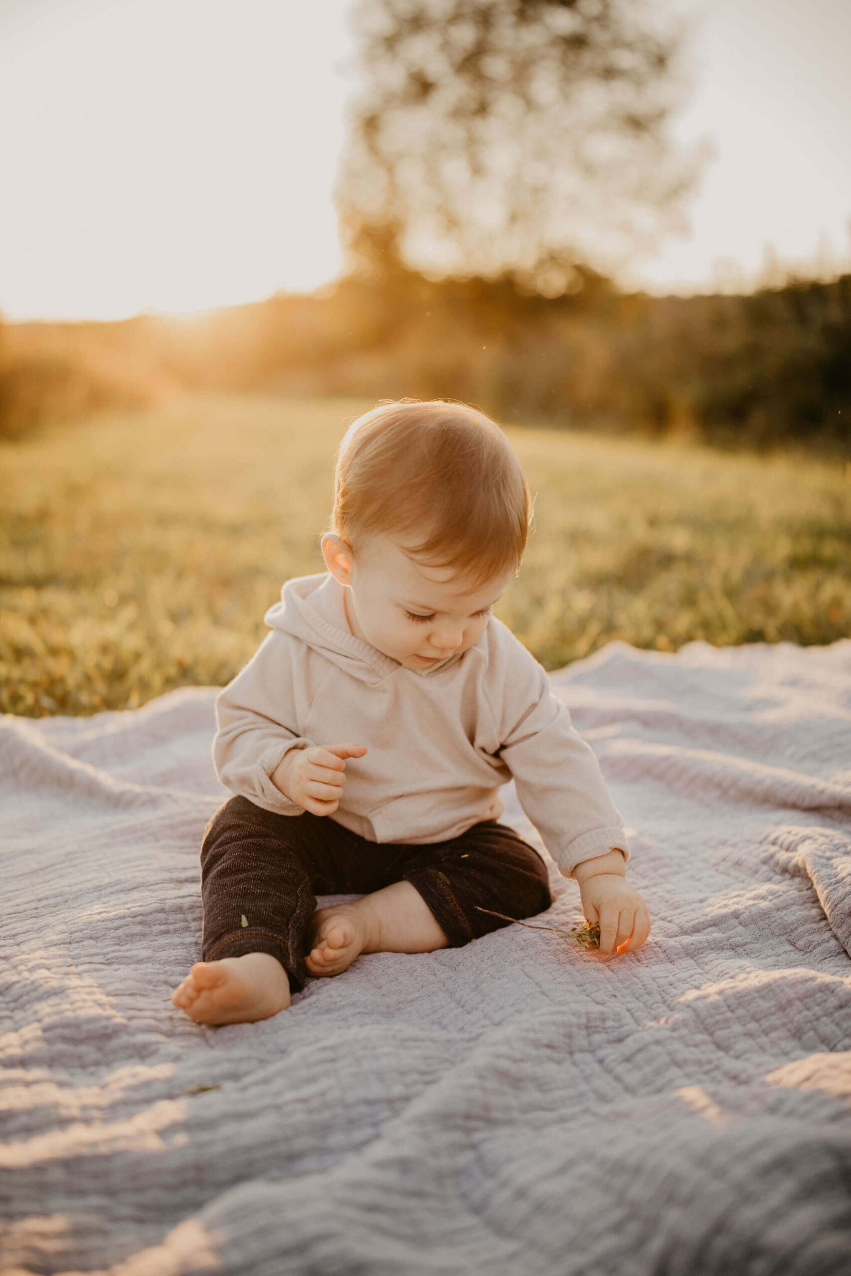 image of a young boy sitting on a picnic blanket in a field at sunset