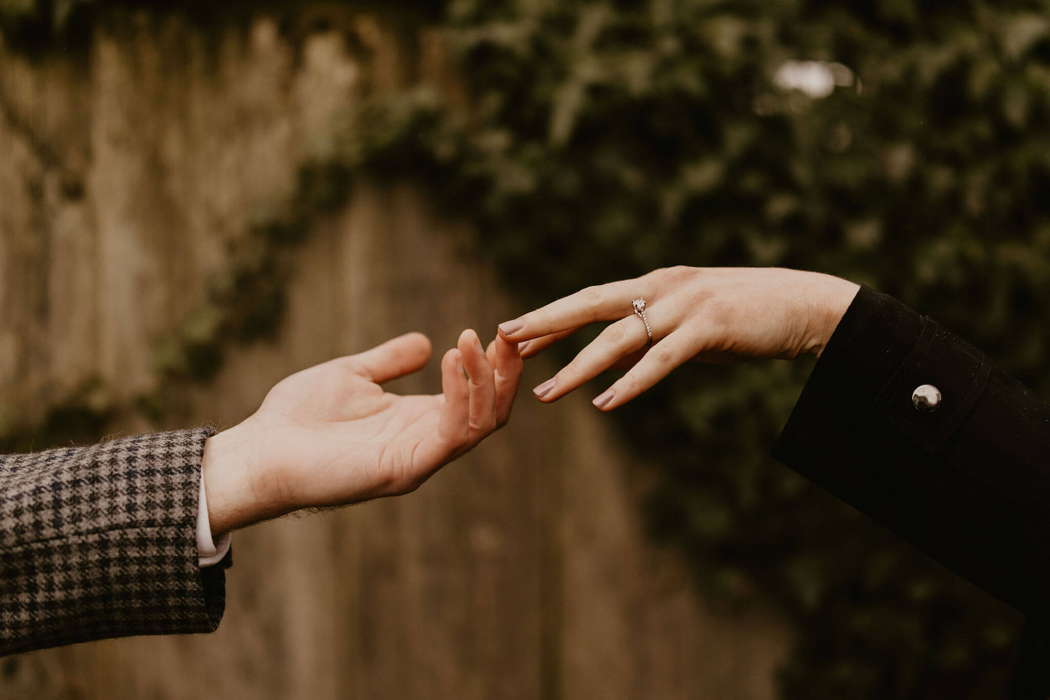 close up image of a man and woman's hands reaching toward each other. she has an engagement ring on her left hand, and there is ivy behind them.