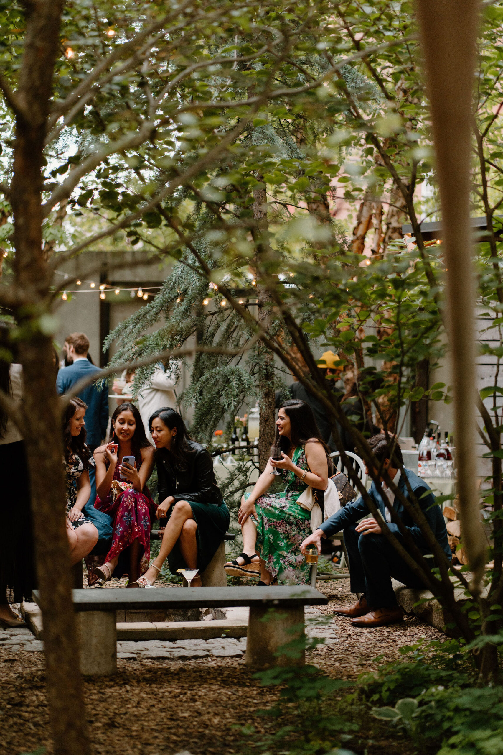 a view through trees of a group of friends sitting on benches and talking