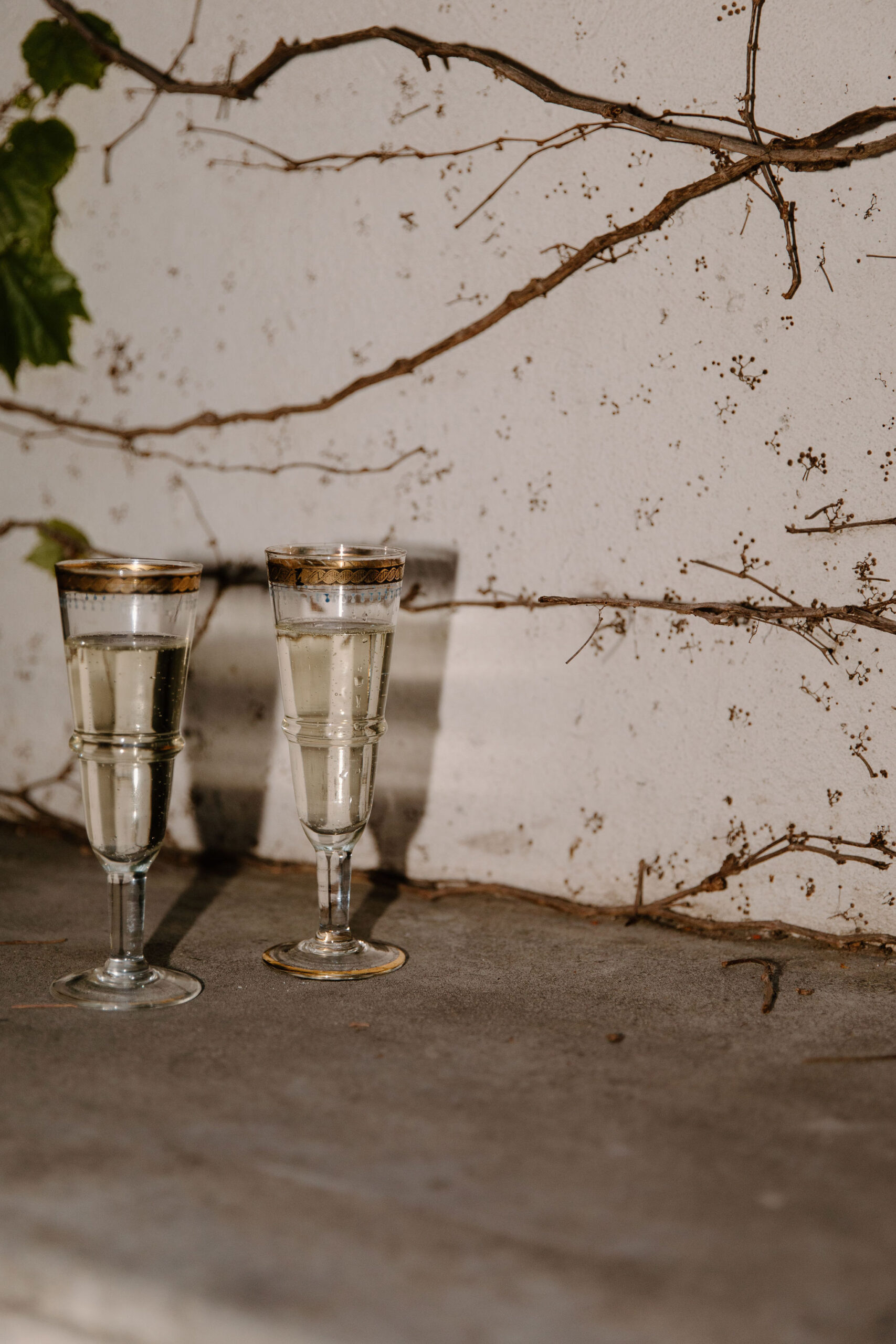 close up of two tall antique champagne flutes with a bronze metal rim, against a wall growing with ivy