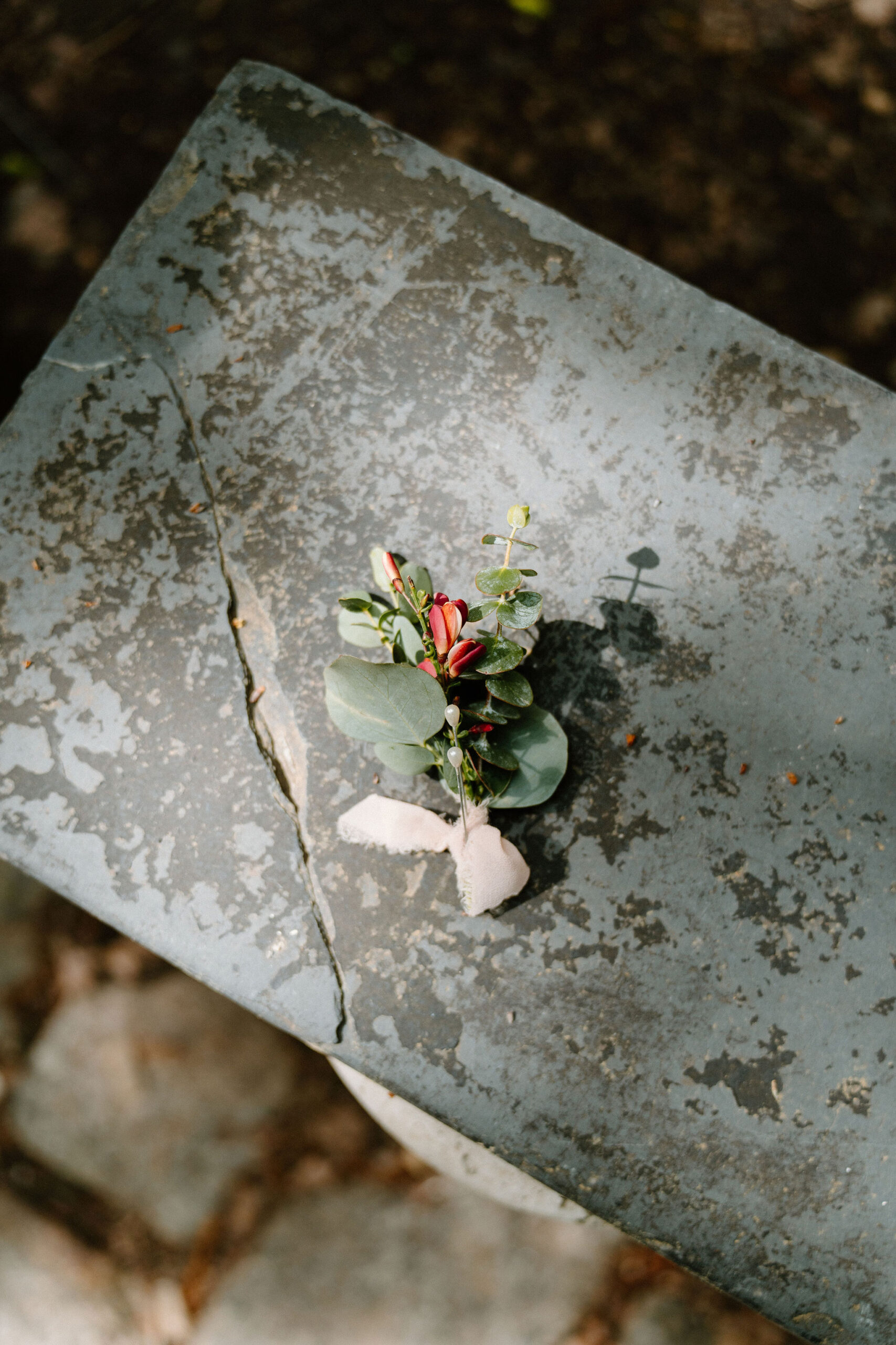 boutonniere on a gray bench in dappled sunlight, with eucalyptus and small red buds 