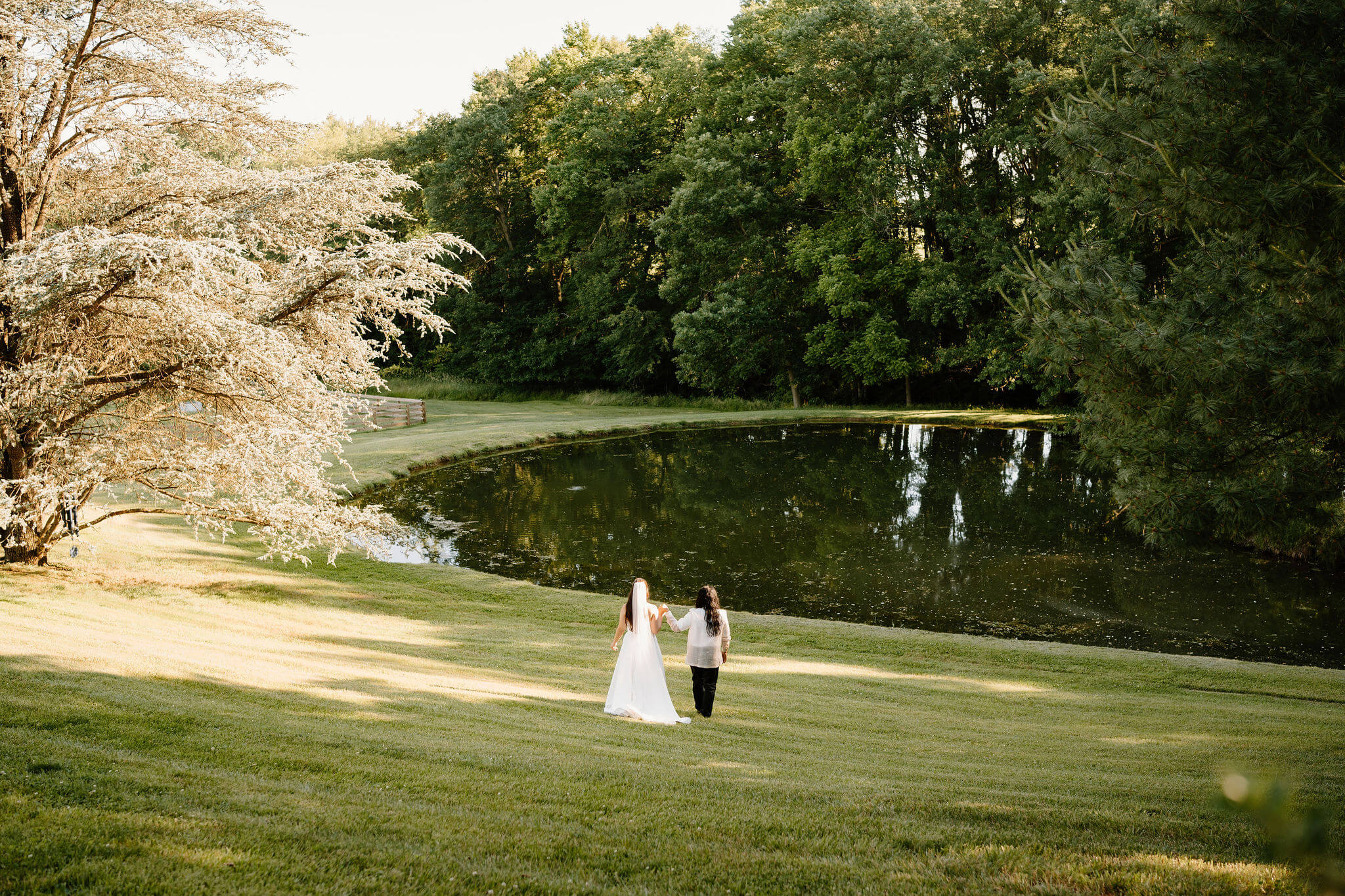 bride and groom holding hands and walking through a field away from the camera toward a pond