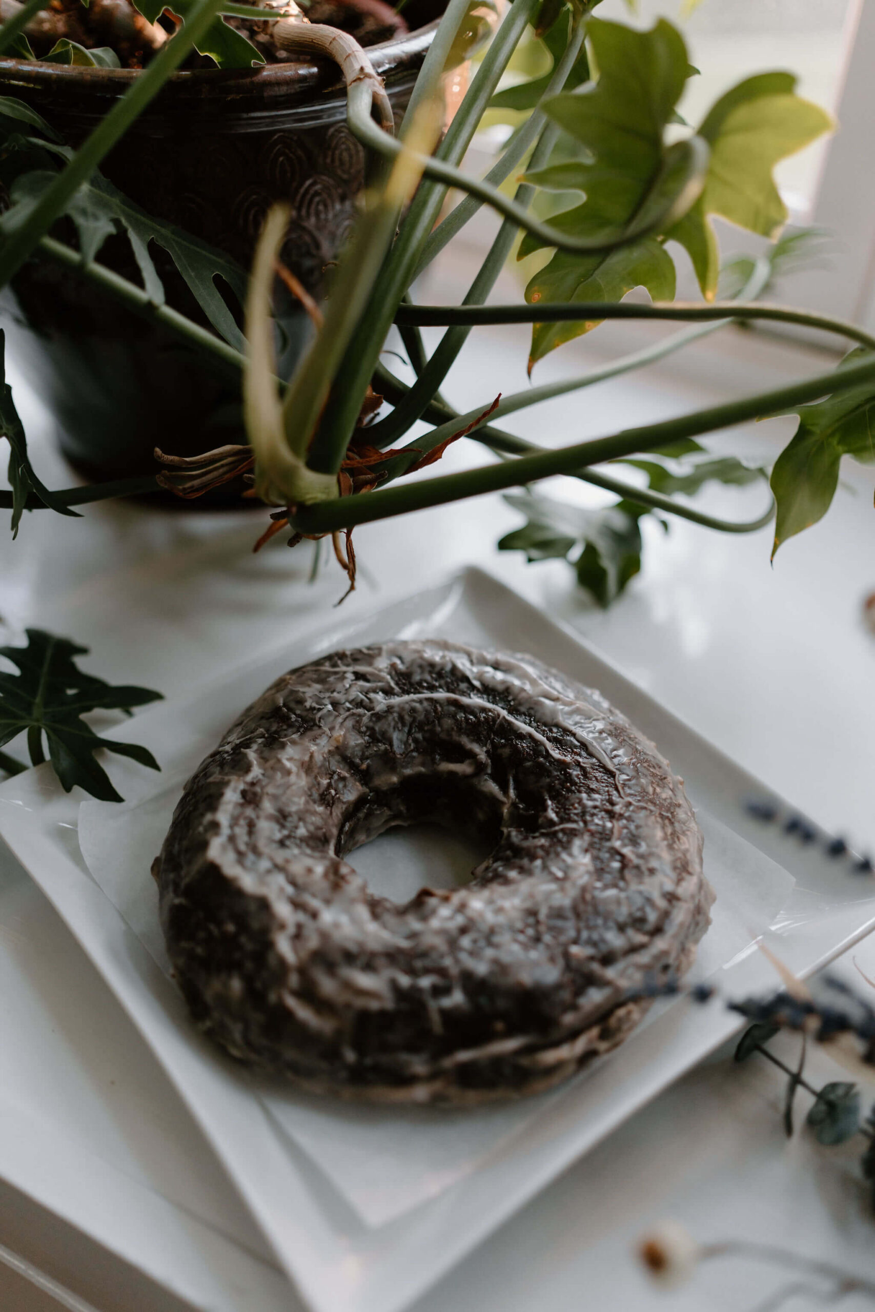 close up image of a large chocolate donut on a plate, surrounded by green indoor plants