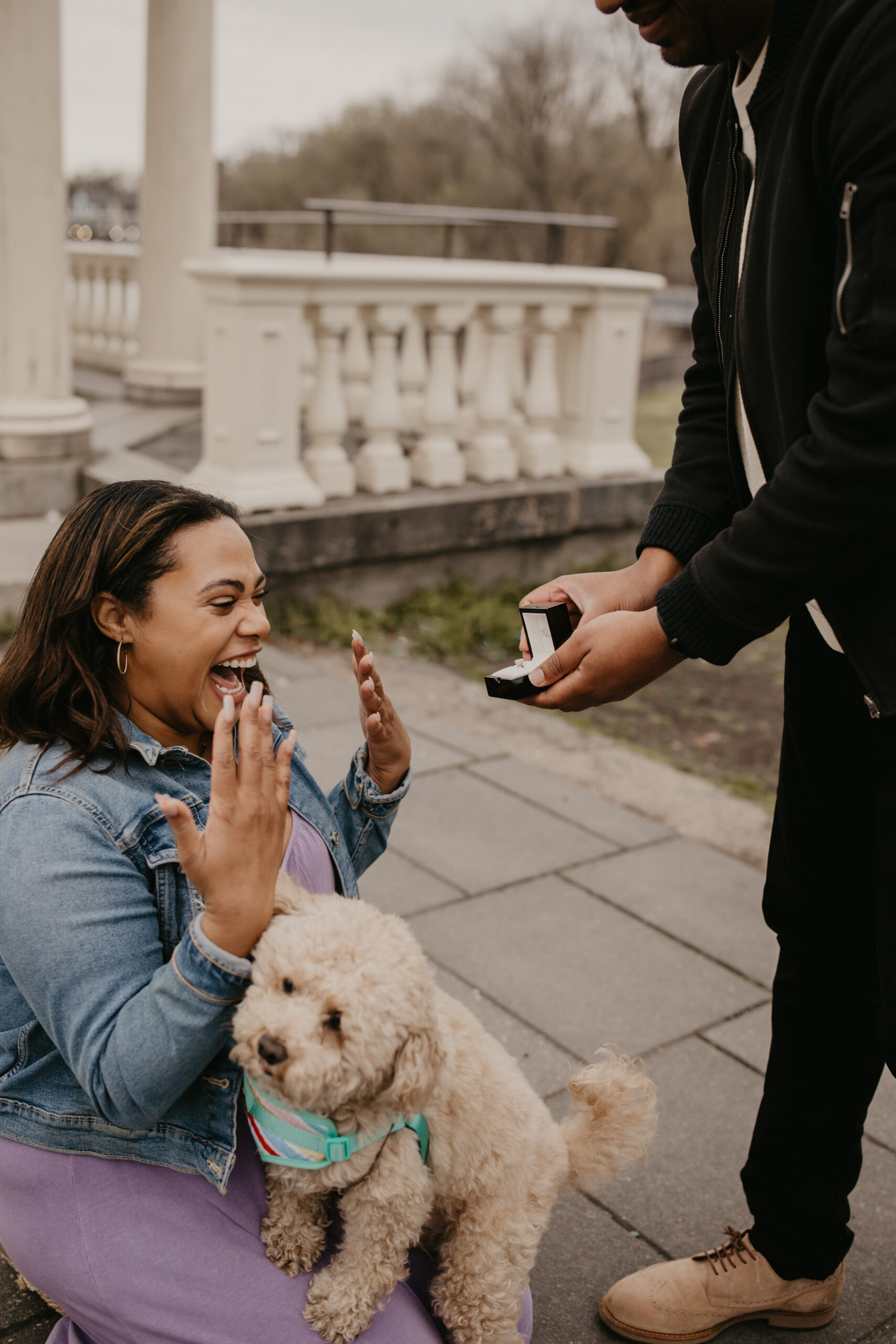 woman wearing purple kneeling on the ground with her dog in her lap, hands up at her face, smiling enormously at her boyfriend holding an engagement ring in front of her