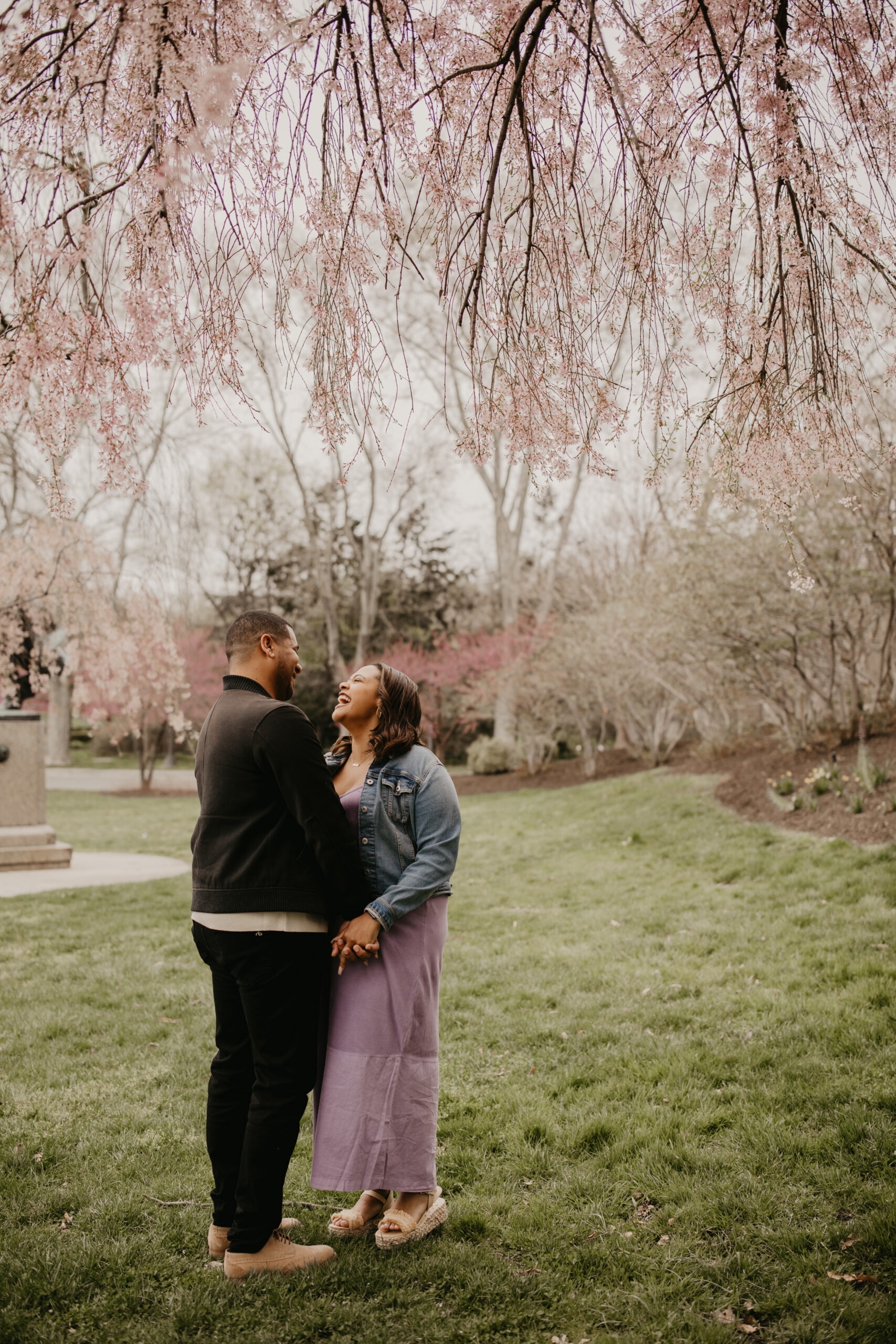 a couple embracing under cherry blossoms in an open field