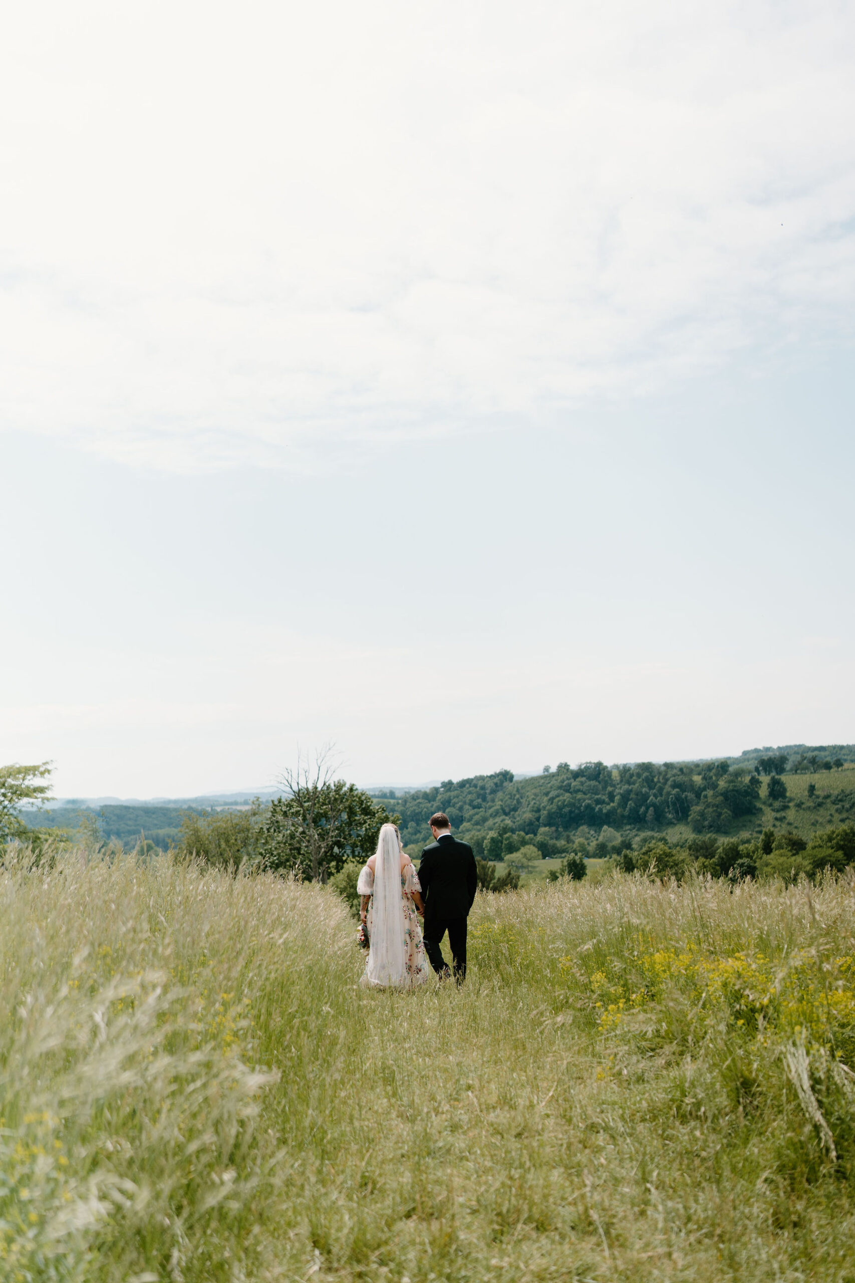 bride in a colorful wedding dress and a long veil holding groom's hand (dark green suit), walking through a field of tall grass away from the camera