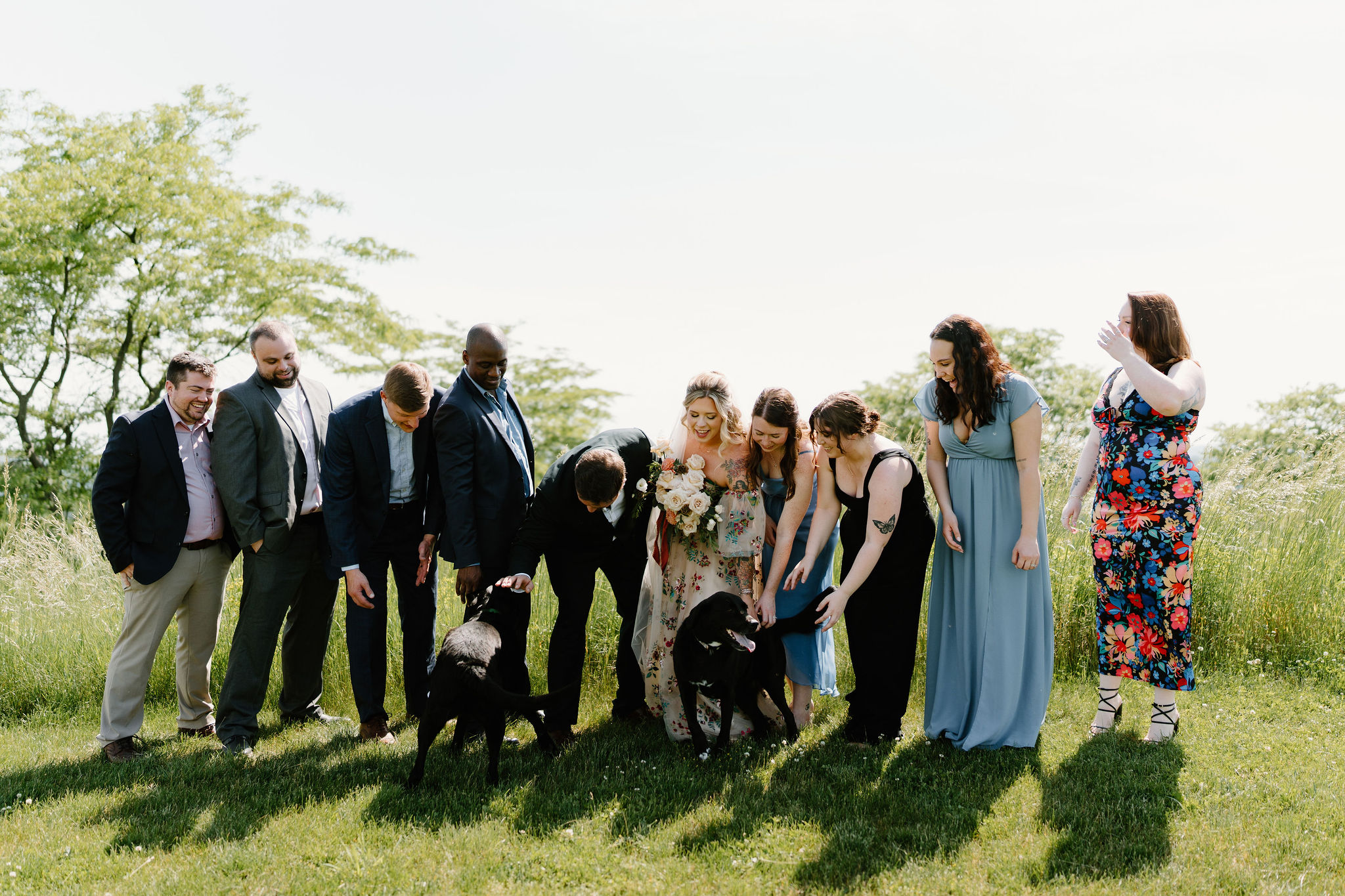 wedding party lined up for a photo and being greeted by the bride and groom's two black labs, bending over to pet them