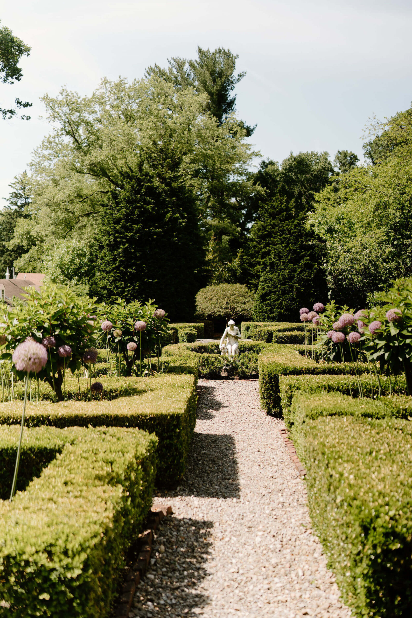 statue at the center of a hedge maze garden, with round purple flowers scattered throughout the hedges