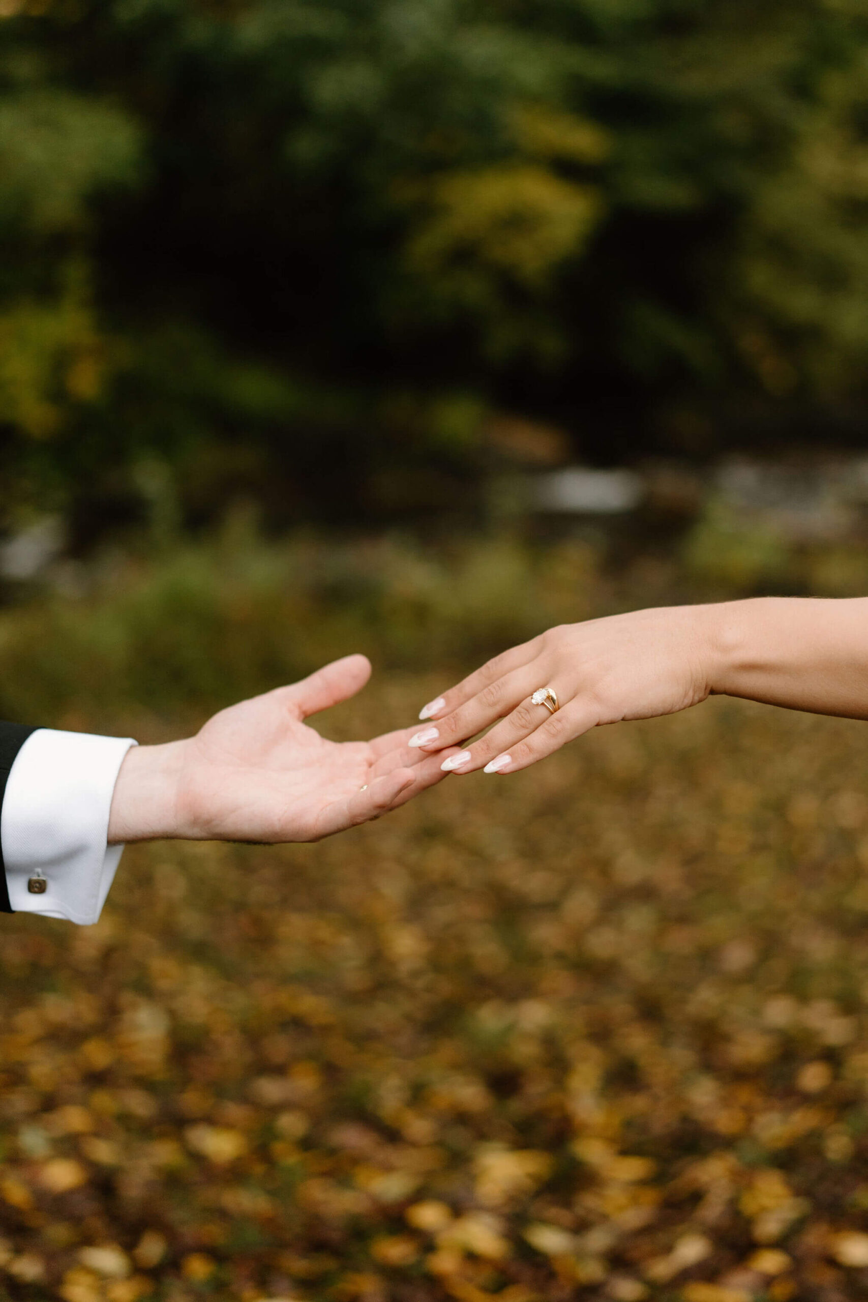 close up of bride and groom's hands reaching for each other, focused on the bride's engagement ring and wedding band, against a backdrop of yellow and orange leaves