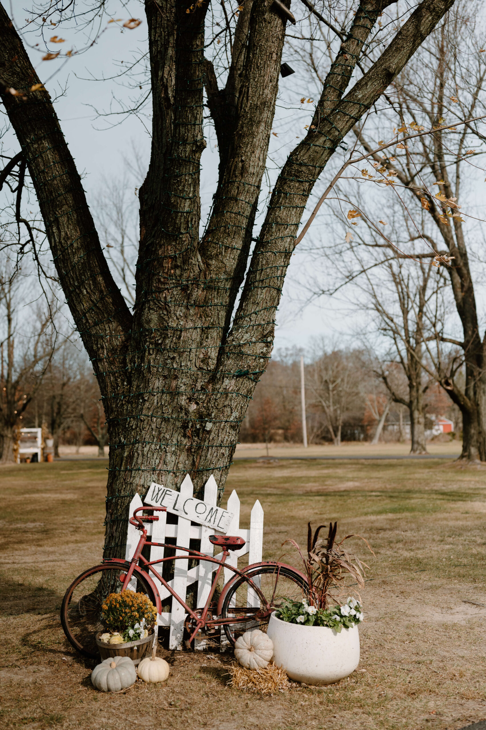 display of a red bicycle in front of a white fence post, against a tree, with a sign reading "welcome"